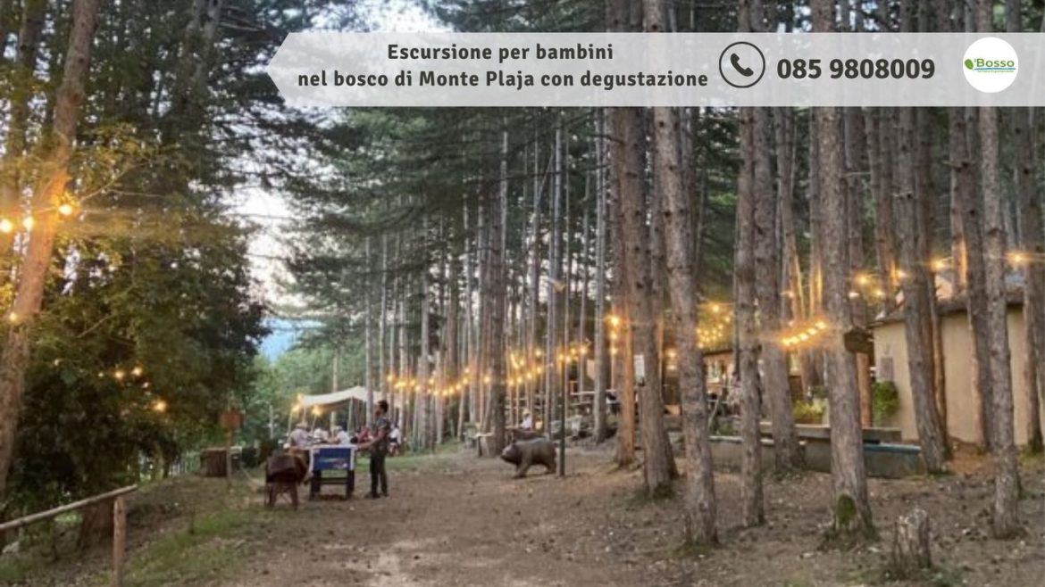 Escursione per bambini nel bosco di Monte Plaja a Introdacqua con degustazione