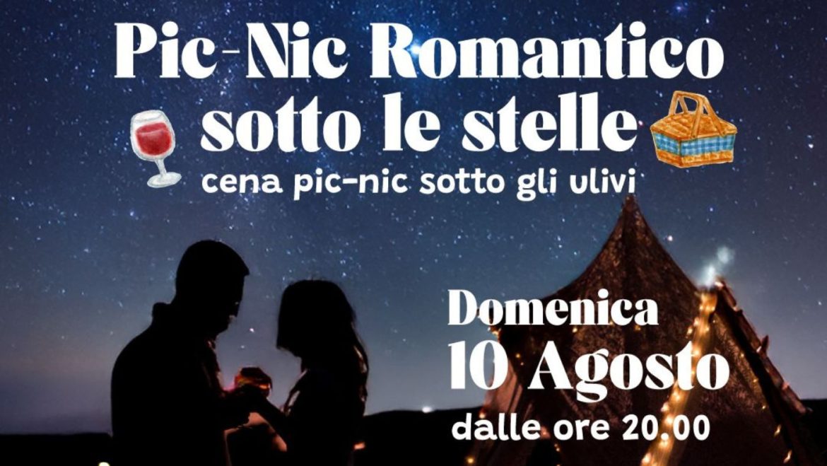 Picnic romantico sotto le stelle e sotto gli ulivi in azienda agricola