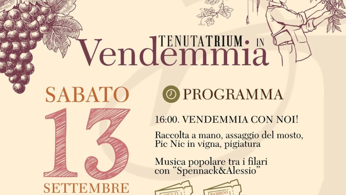 Vendemmia da Tenuta Trium raccolta pigiatura picnic e musica