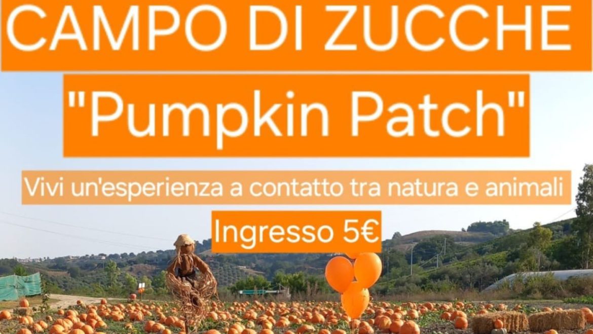 Campo di Zucche Pumpkin Patch a Cappelle sul Tavo zucche pony animazione