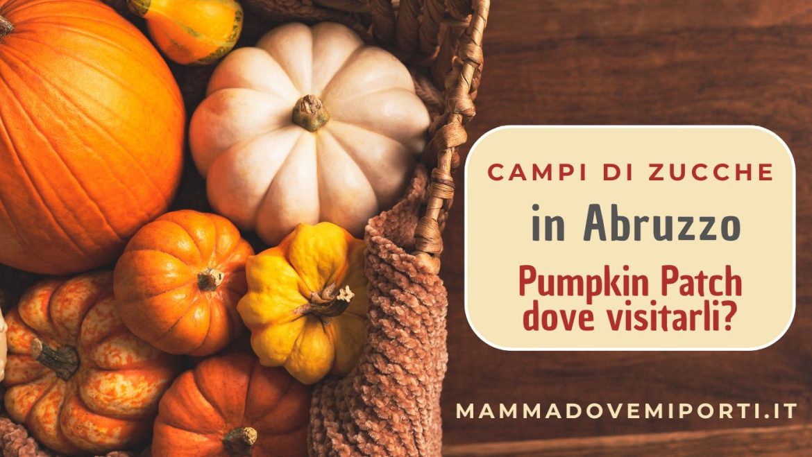 Campi di Zucche in Abruzzo Pumpkin Patch dove visitarli nel mese di ottobre