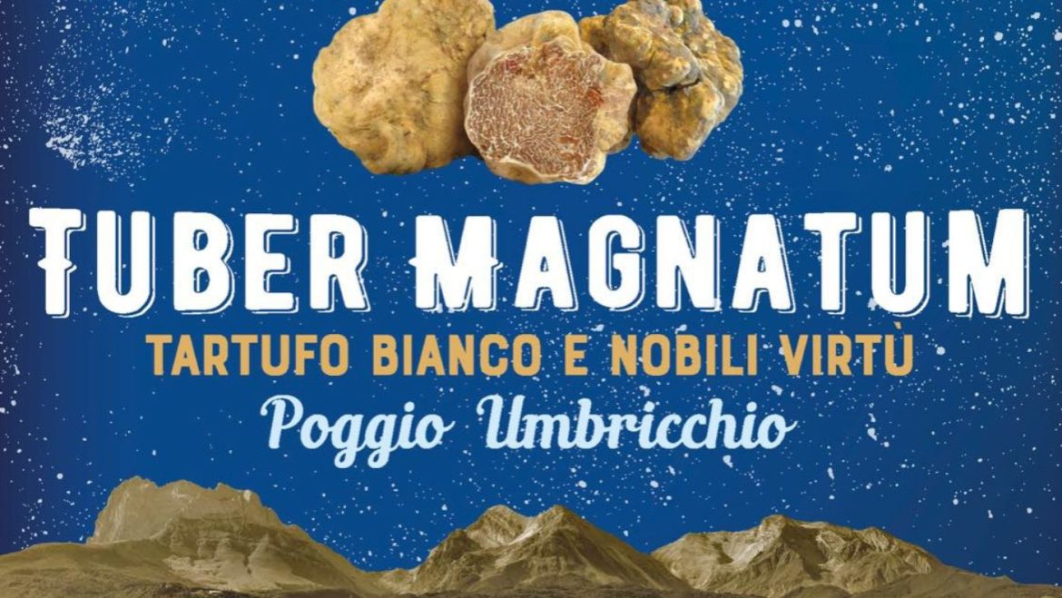 Tuber Magnatum 2025 a Poggio Umbricchio Sagra del Tartufo Bianco d’Abruzzo