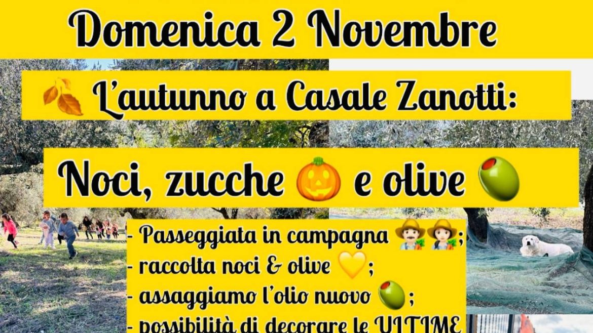 L’Autunno a Casale Zanotti a Moscufo noci, zucche, olive e animazione
