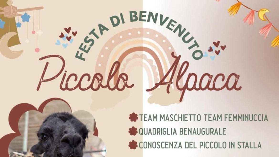 Festa di benvenuto al nuovo piccolo Alpaca a Serramonacesca