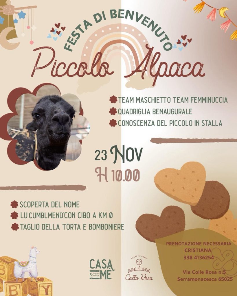 Festa di benvenuto al nuovo piccolo Alpaca a Serramonacesca