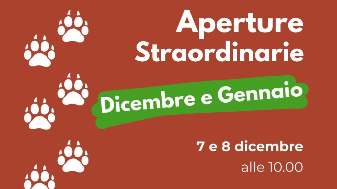 Natale 2025 a Popoli le aperture straordinarie al Centro Visita del Lupo fino alla Befana con omaggio