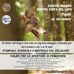 Visite di primavera al Centro Visita del Lupo a Popoli con ingresso omaggio