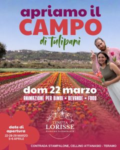 Campo di Tulipani a Cellino Attanasio