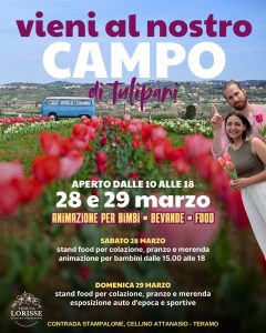 Campo di Tulipani a Cellino Attanasio di Tenura Lorisse