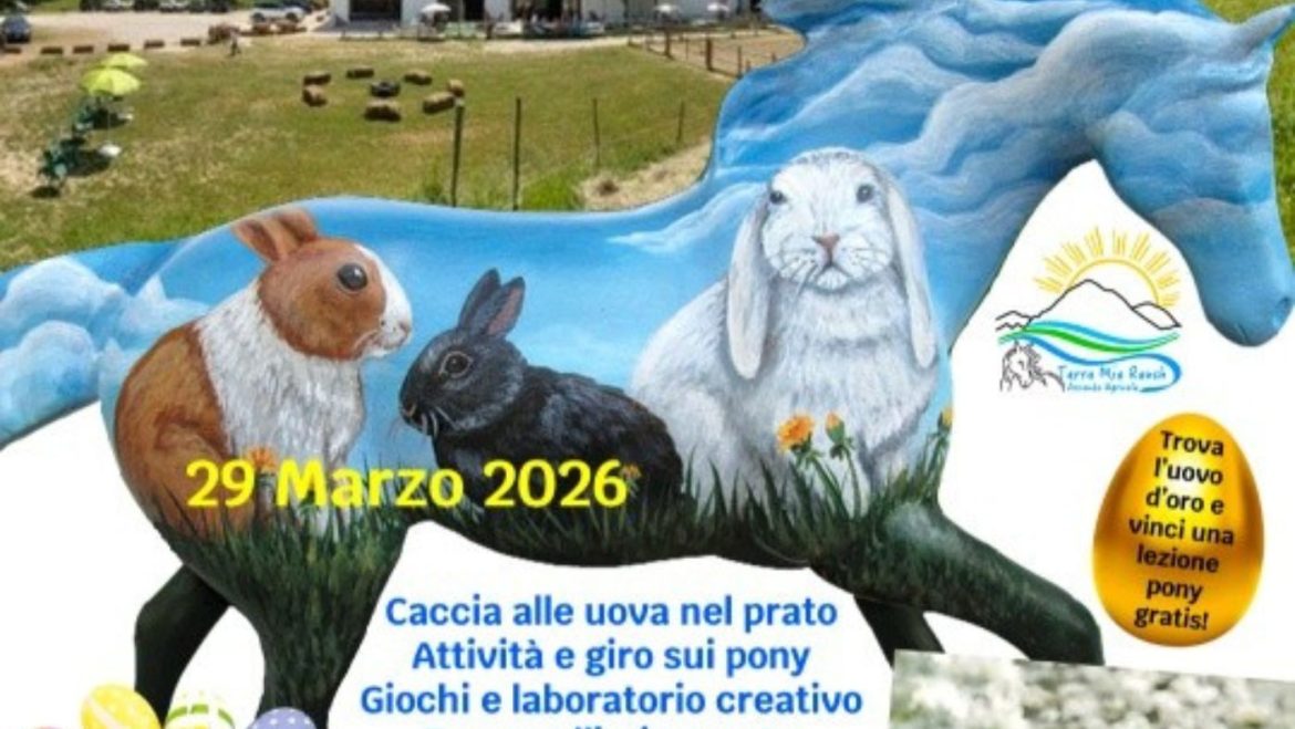 Caccia alle uova al maneggio a Isola del Gran Sasso pony, natura, sorprese e merenda