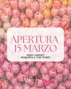 Tuliland Abruzzo Campo di Tulipani a Bellante seconda edizione