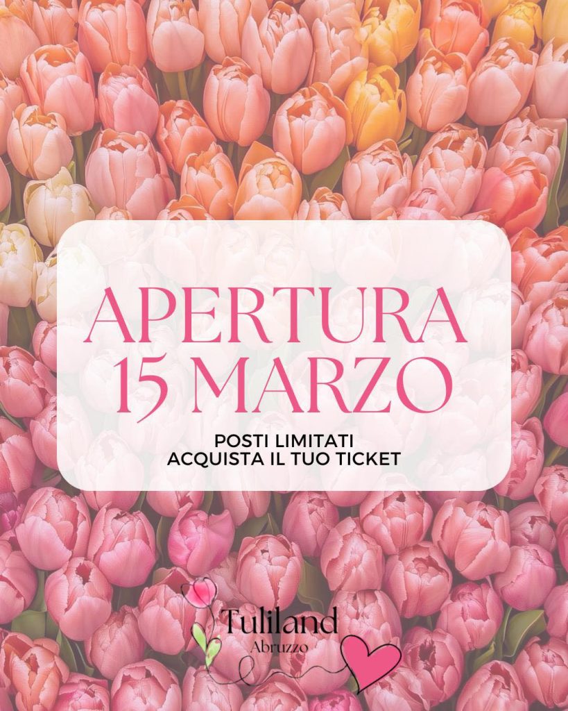 Tuliland Abruzzo Campo di Tulipani a Bellante seconda edizione