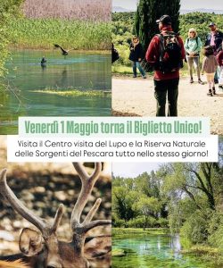 1 maggio a Popoli Terme tra natura e scoperta- torna il Biglietto Unico per Lupi e Sorgenti