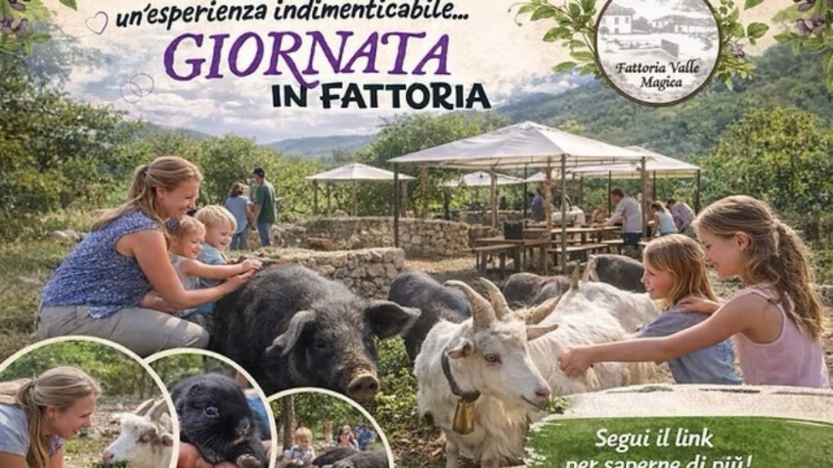 Giornata in Fattoria a Carapelle Calvisio visita guidata, BBQ, asini e parco giochi