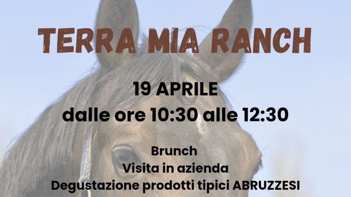 Giornata in fattoria a Isola del Gran Sasso cavalli, brunch, visita e degustazione