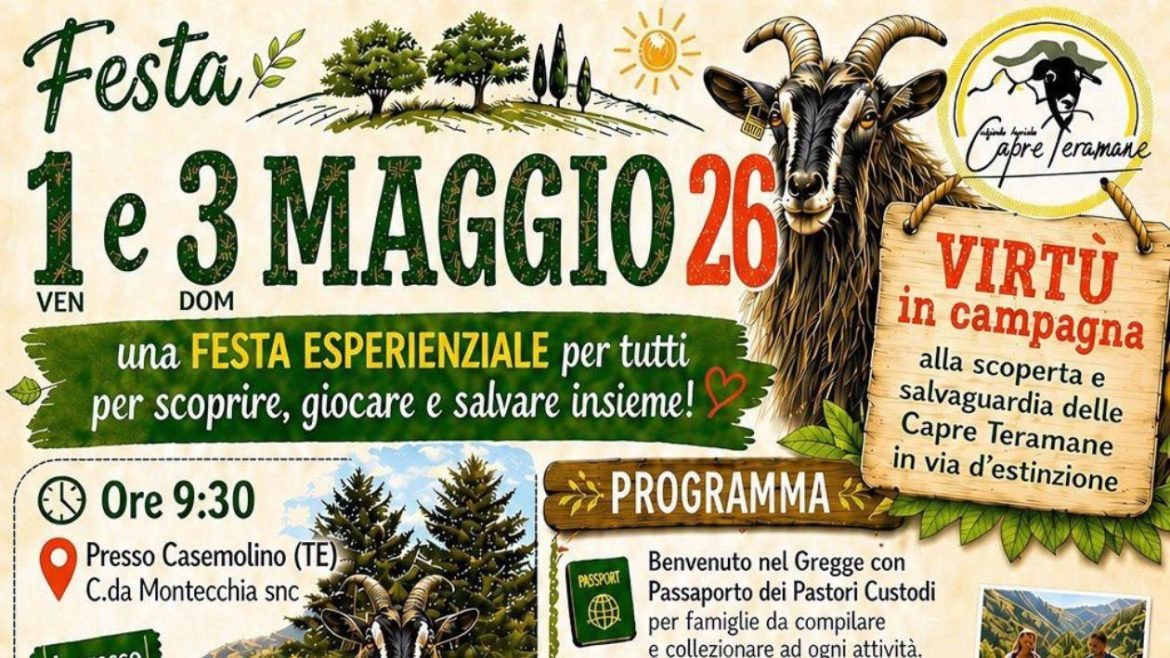 Ponte del 1 Maggio in campagna a Castellalto capre teramane in via di estinzione, virtù, dimostrazioni e laboratori