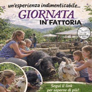 Giornata in Fattoria a Carapelle Calvisio visita guidata, BBQ, asini e giochi
