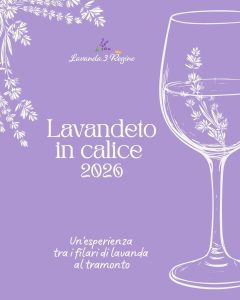 Lavandeto in Calice a Castiglione Messer Raimondo visita, laboratori e degustazioni