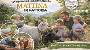 Mattina in Fattoria a Carapelle Calvisio animali, asini e parco giochi