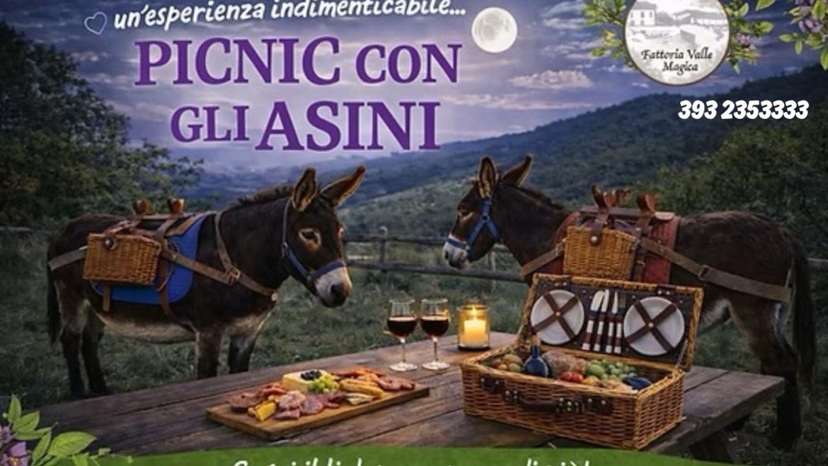 Picnic con gli asini a pranzo e al tramonto a Carapelle Calvisio buon cibo, animali, asini e parco giochi