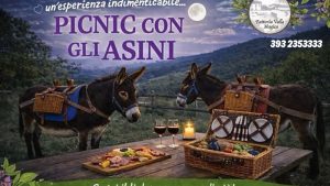 Picnic con gli asini al tramonto a Carapelle Calvisio animali, asini e parco giochi