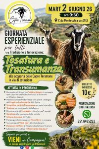 2 giugno con la Tosatura e Transumanza alla scoperta delle capre teramane in via di estinzione