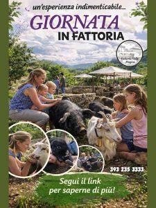 Feste di Classe in Fattoria a Carapelle Calvisio