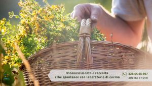 Erbe spontanee a Cepagatti riconoscimento, raccolta e laboratorio di cucina con l'ortica