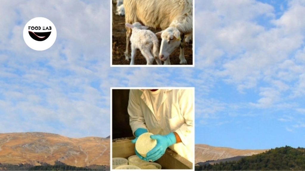 Laboratorio sul formaggio fresco da fare a casa a Teramo