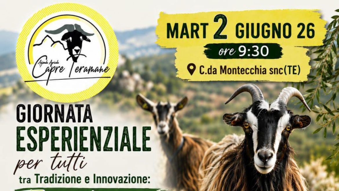 2 giugno con la Tosatura e transumanza alla scoperta delle Capre Teramane in via di estinzione