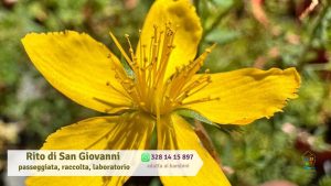 Rito di San Giovanni a Cepagatti passeggiata, raccolta erbe spontanee e laboratorio del ramajetto