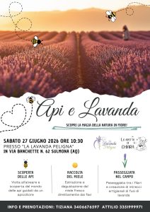 Api e Lavanda a Sulmona visita alle api, raccolta miele, degustazione, passeggiata e laboratorio