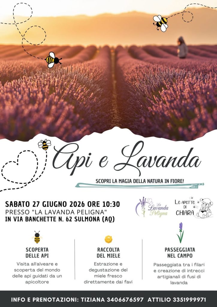 Api e Lavanda a Sulmona visita alle api, raccolta miele, degustazione, passeggiata e laboratorio