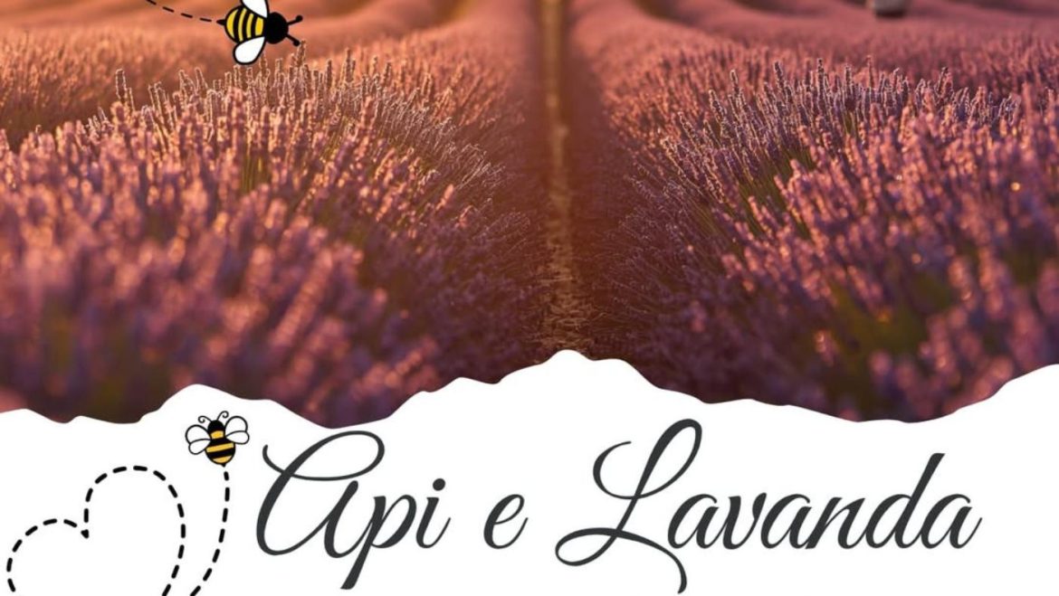Api e Lavanda a Sulmona visita alle api, raccolta miele, degustazione, passeggiata e laboratorio