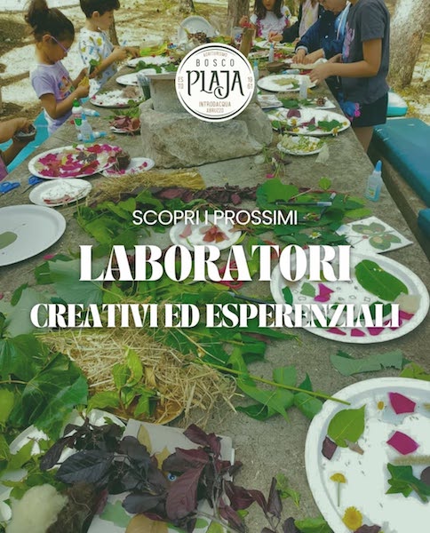 Laboratorio creativo ed esperienziale nel bosco a Introdacqua con pranzo in agriturismo