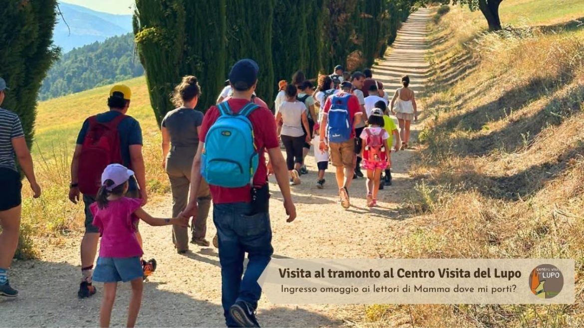 Visita guidata al tramonto al Centro Visita del Lupo a Popoli Terme fino ad agosto