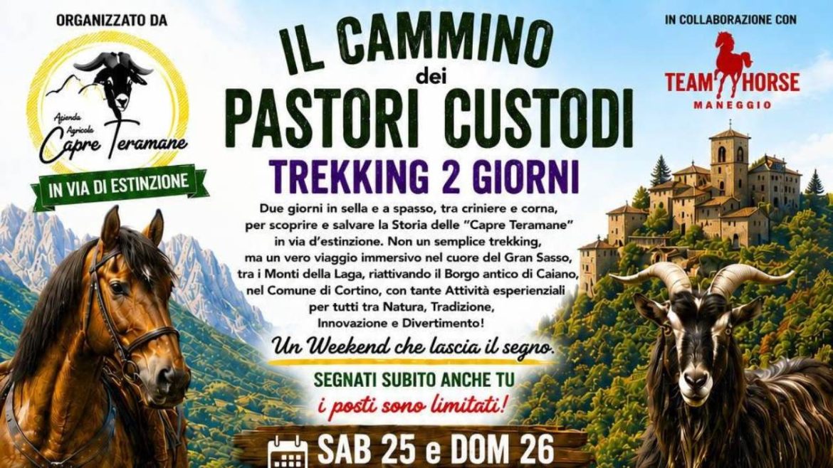 Il Cammino dei Pastori Trekking esperienziale a cavallo con pernotto a Cortino