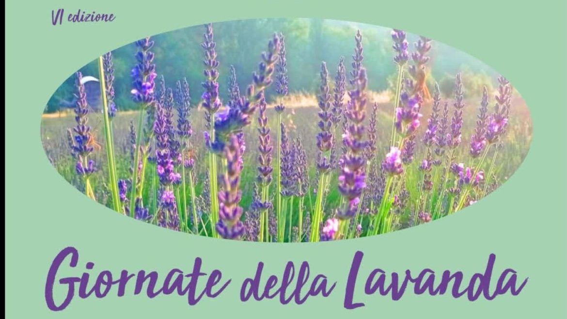 Giornate della Lavanda 2026 a Catignano visite, laboratori, dimostrazioni e degustazioni