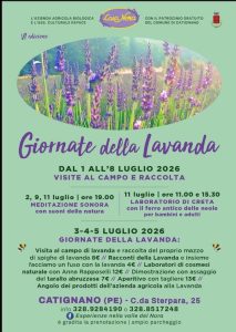 Giornate della Lavanda 2026 a Catignano visite, laboratori, dimostrazioni e degustazioni